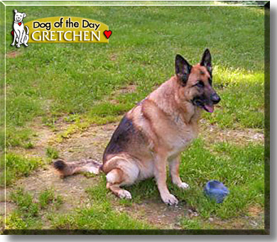 Gretchen, the Dog of the Day