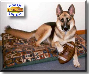 Thunder, the Dog of the Day