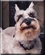 Elsie