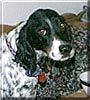 Casey