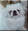 Casper