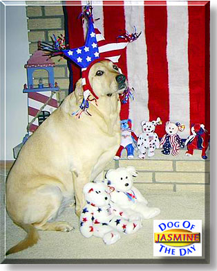 Jasmine, the Dog of the Day