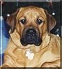 Kahlua