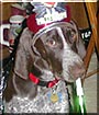 Sadie