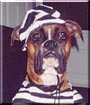 Junior