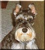 Winifred Pooh