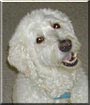 Barkley