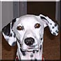 Roxie