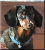 Rosco