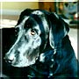 Friend