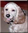 Sadie