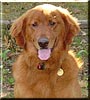 Tucker