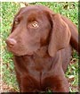 Tallula