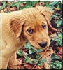 Zoe