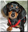 Fiona