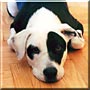 Buster