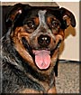 Zeke