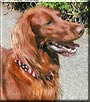 Erin