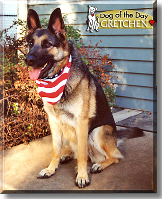 Gretchen, the Dog of the Day