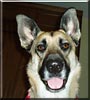 Heidi