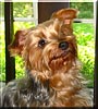 Annie