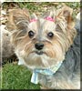 Mollie