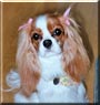 Chloe