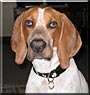 Buster