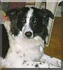 Maggy