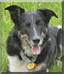 Fergus