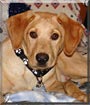 Tucker