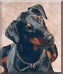 Raja