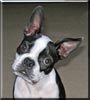 Rosco