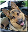 Shiloh