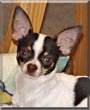 Petey