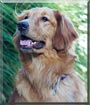 Sadie