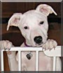 Sadie