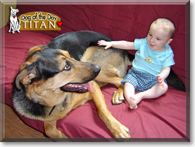 Titan, the Dog of the Day