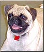 Bugsy