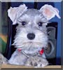 Dugan