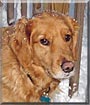 Rudy