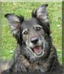 Oscar