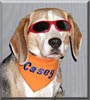 Casey