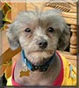 Baxter