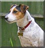 Wishbone