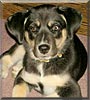 Daisey Mae