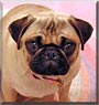 Rosie
