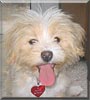 Trixie