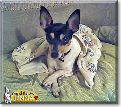 Jenna, the Dog of the Day