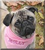 Molly